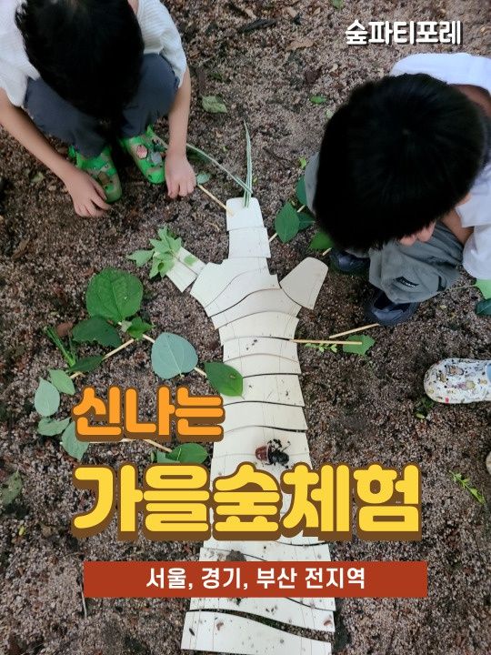 [용산가족공원] 숲파티포레_가을숲체험