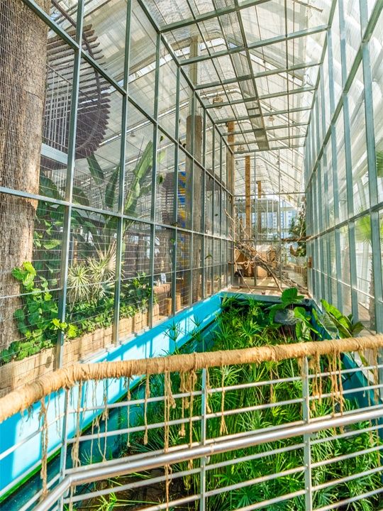 [경주/오산] 버드파크