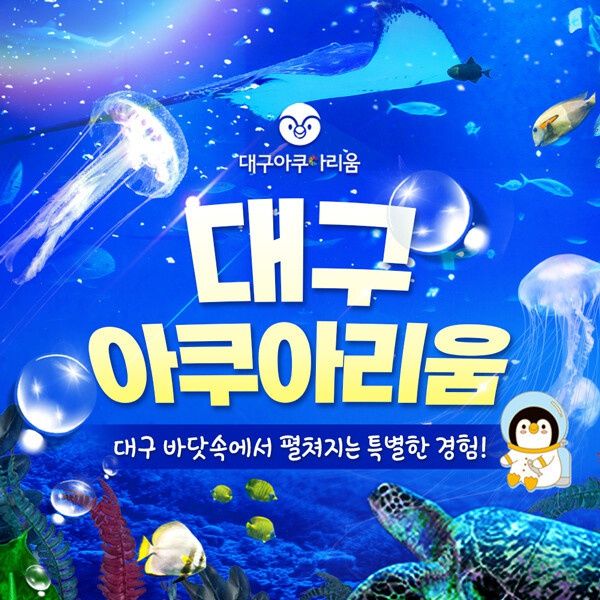 대구 아쿠아리움 1인 입장권