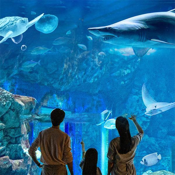 [특가] 아쿠아플라넷 광교 입장권 특가!