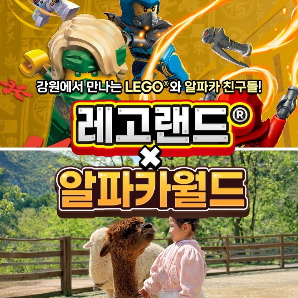 [강원] 레고랜드X알파카월드 PKG
