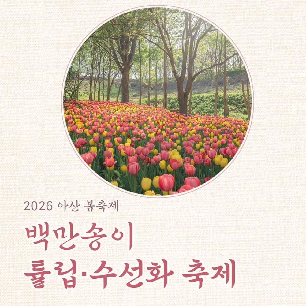 [충남]2026년 백만송이 튤립,수선화 축제 피나클랜드