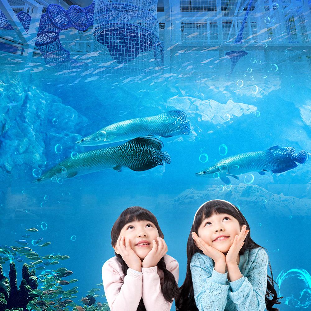 [대구] 아쿠아밸리 블루라운지 카페 (3/1~)