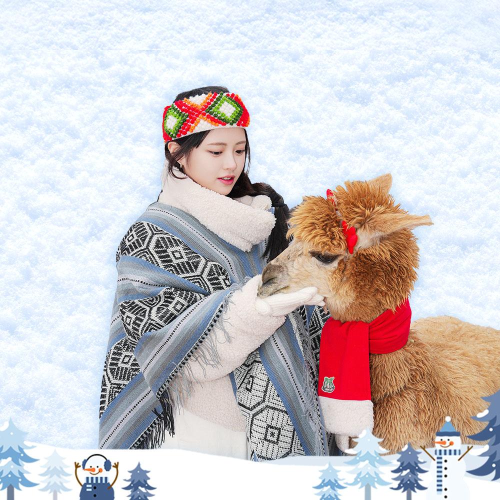 [홍천] 알파카월드 입장권(9/1~)