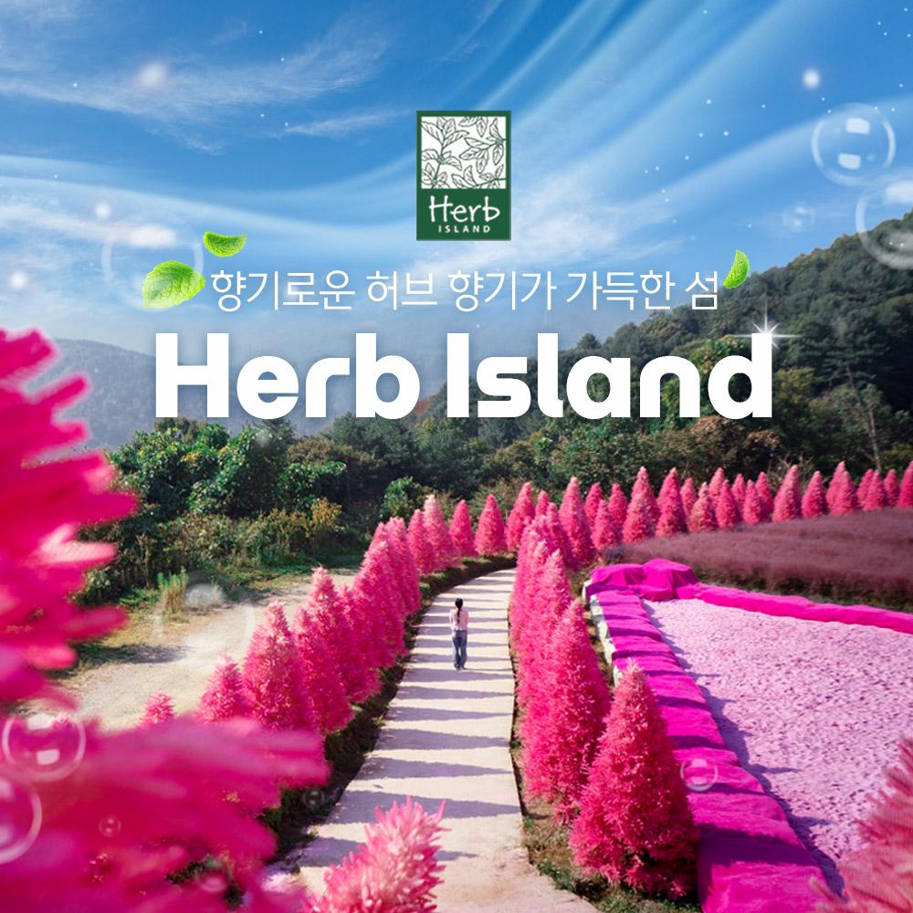 [경기] 허브아일랜드 입장권(포천가볼만한곳)