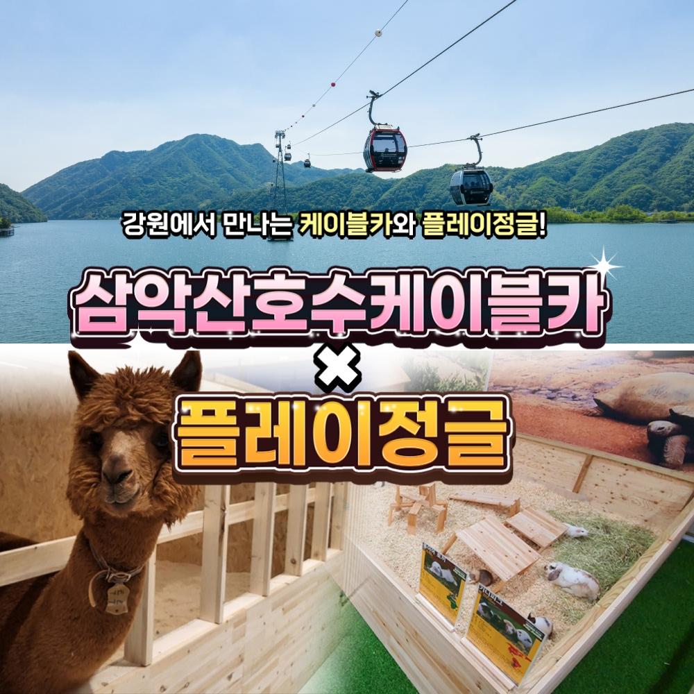 [강원] 삼악산케이블카X플레이정글 춘천엔타점 PKG