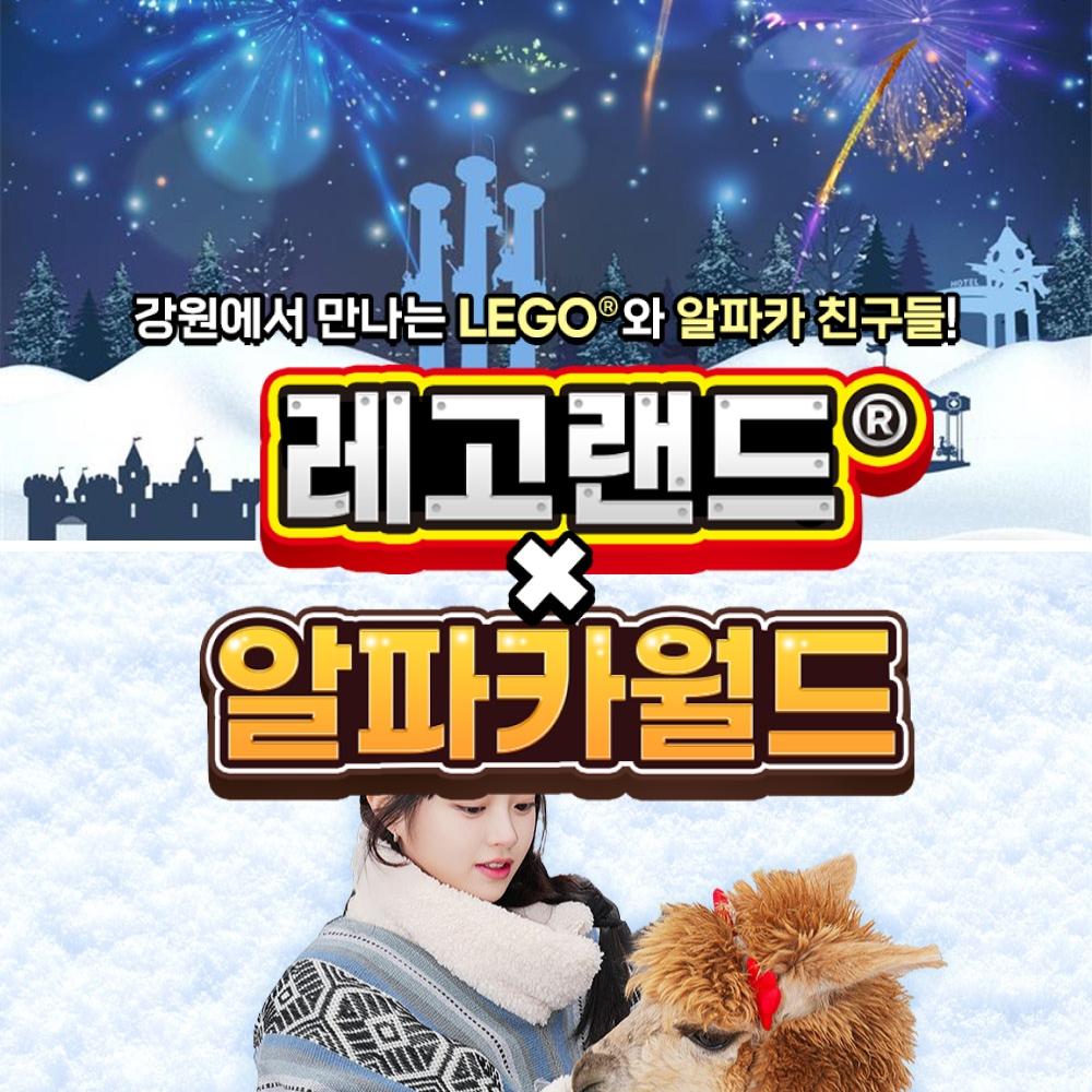 [강원] 레고랜드X알파카월드 PKG