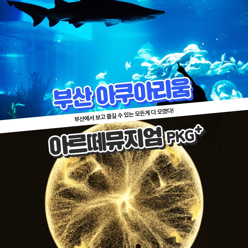 아르떼뮤지엄 부산+씨라이프 부산 아쿠아리움PKG