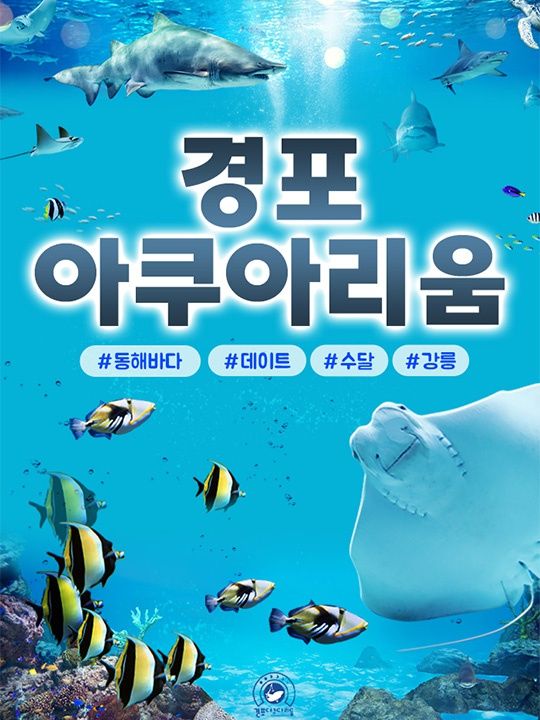 경포아쿠아리움 입장권
