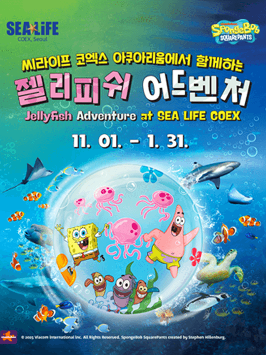 씨라이프 코엑스 아쿠아리움 (12월)