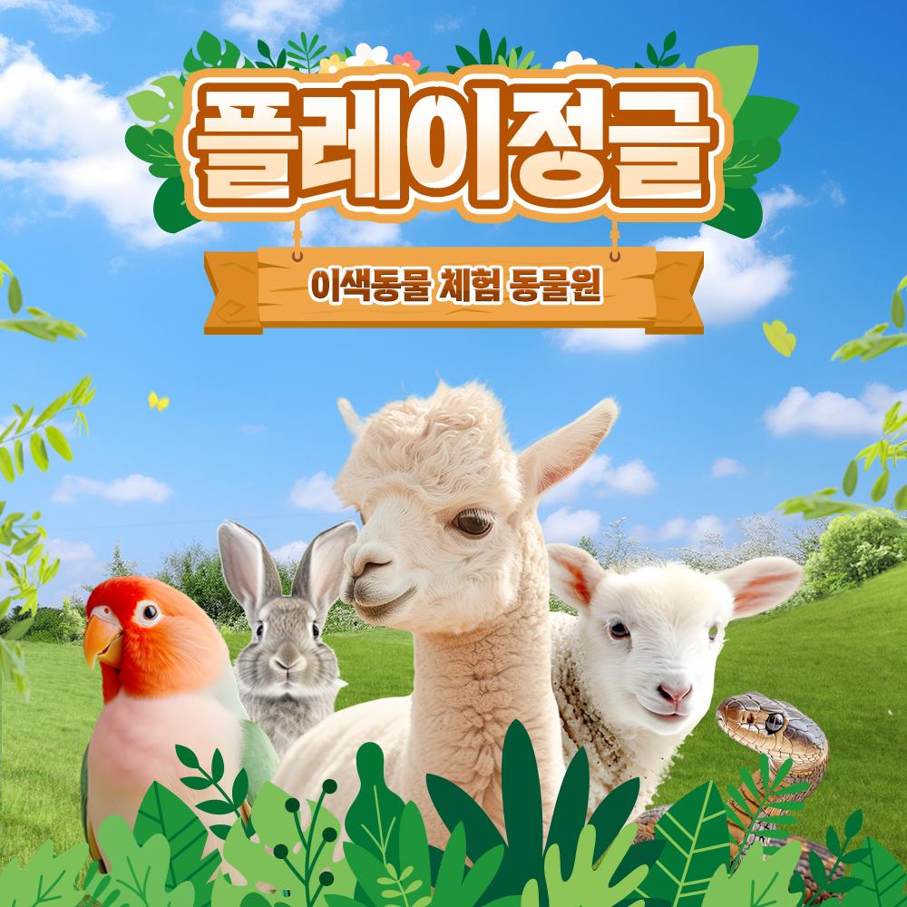 강원 플레이정글 춘천엔타점