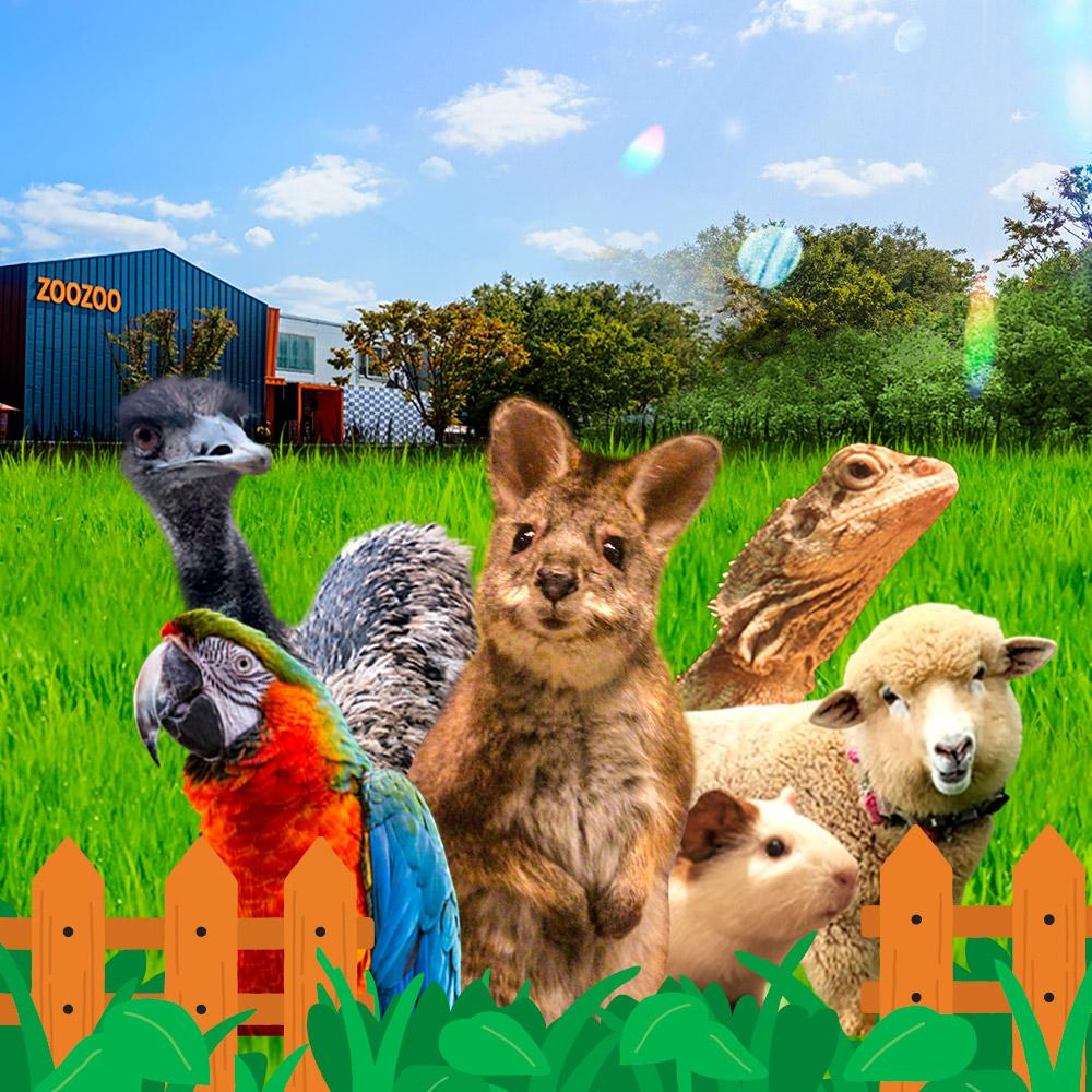 고양 쥬쥬랜드 이용권