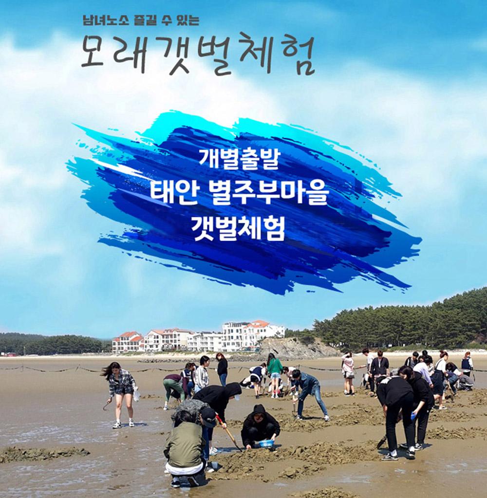 [태안] 별주부마을 갯벌체험