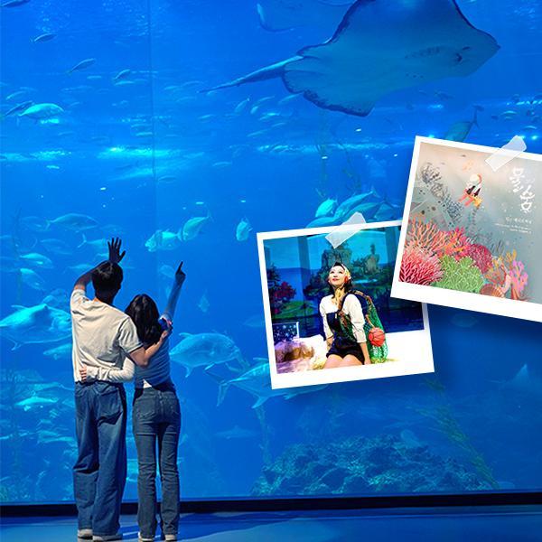 [3월 특가] 아쿠아플라넷 제주 입장권