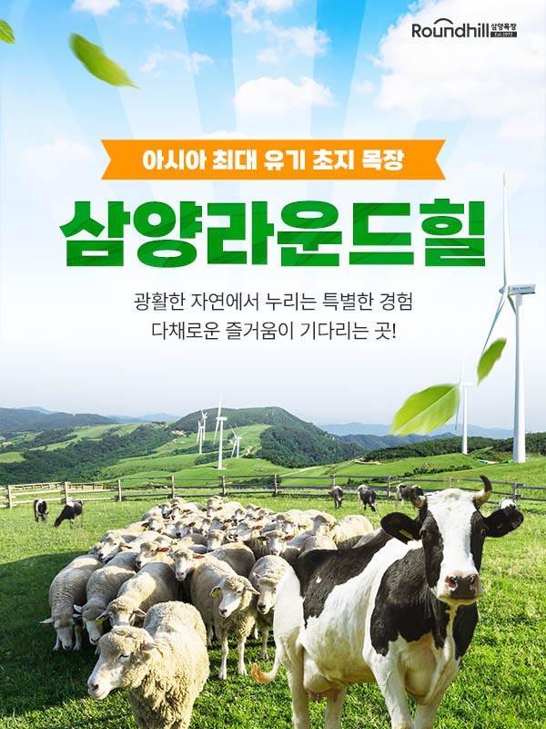 대관령 삼양라운드힐