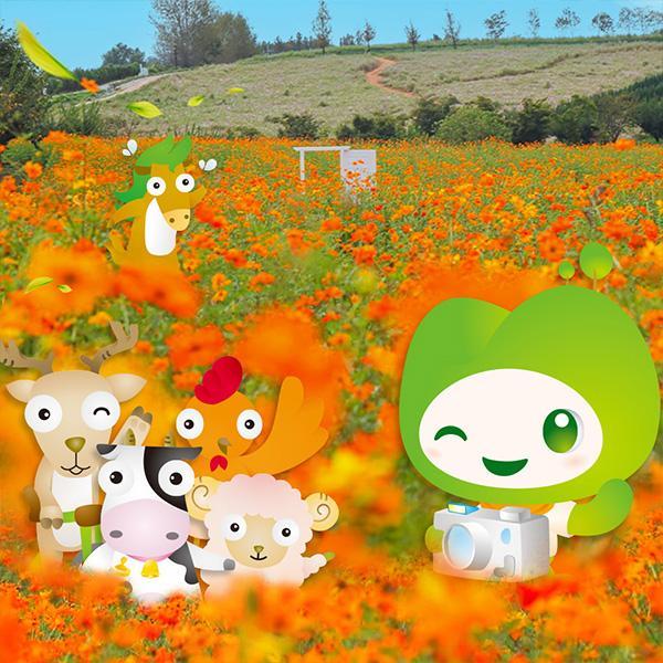 안성팜랜드 입장권