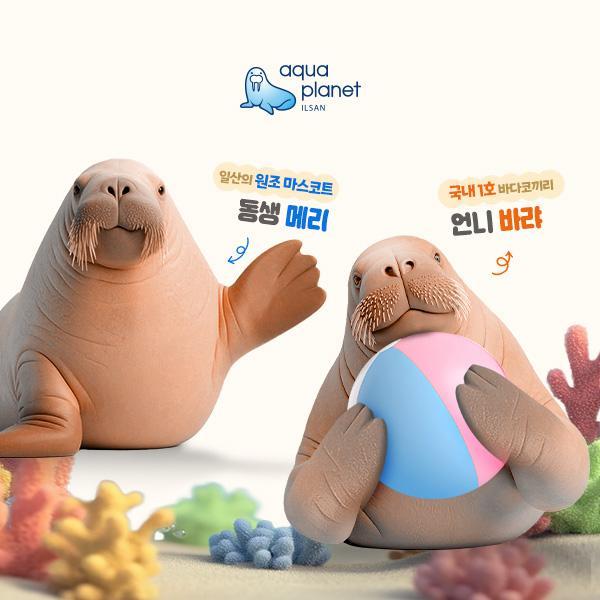 [일산] 아쿠아플라넷 입장권(8/1~8/31)