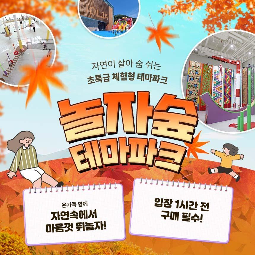 [경기 동두천] 체험형 숲 테마파크 놀자숲 이용권 물놀이장오픈 (실내/외 초대형 어드벤처 파크)