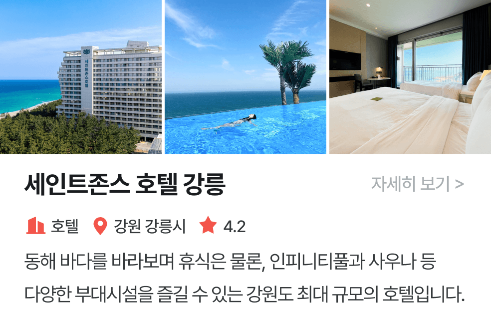놀이연구소 | 세인트존스 호텔