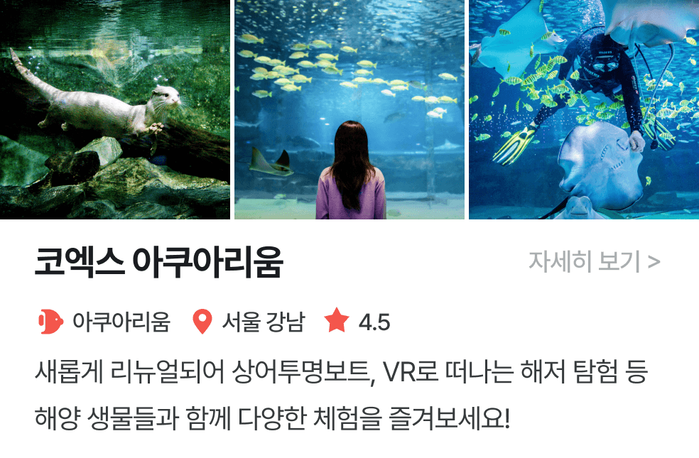 놀이연구소 | 코엑스아쿠아리움