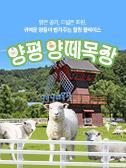 양평 양떼목장