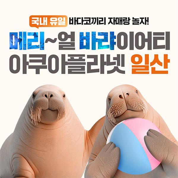[일산] 아쿠아플라넷 입장권(3/1~3/31)