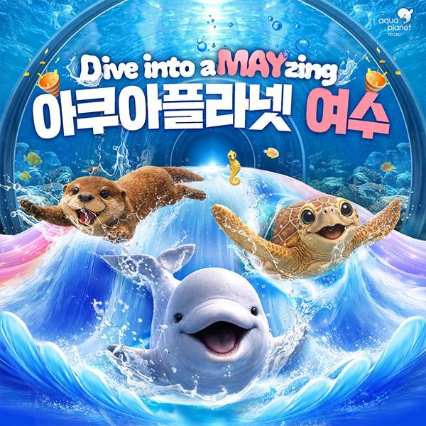 [5/1~5/31] 아쿠아플라넷 여수 입장권