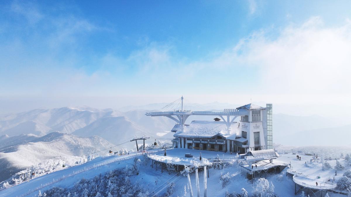 [특가] 용평리조트