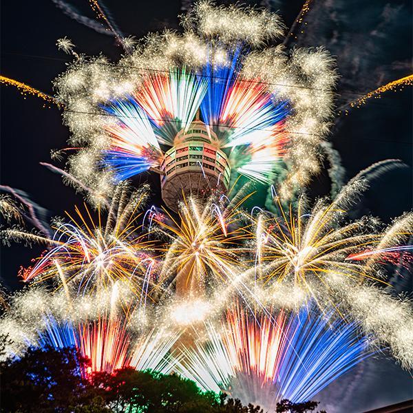 [대구] 이월드 자유이용권 2월