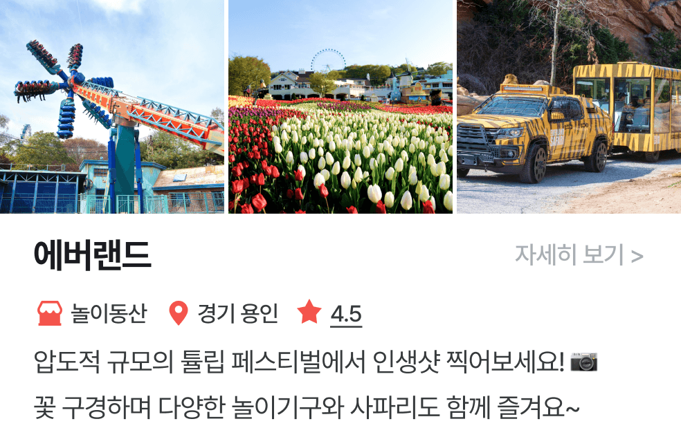 놀이연구소 | 에버랜드