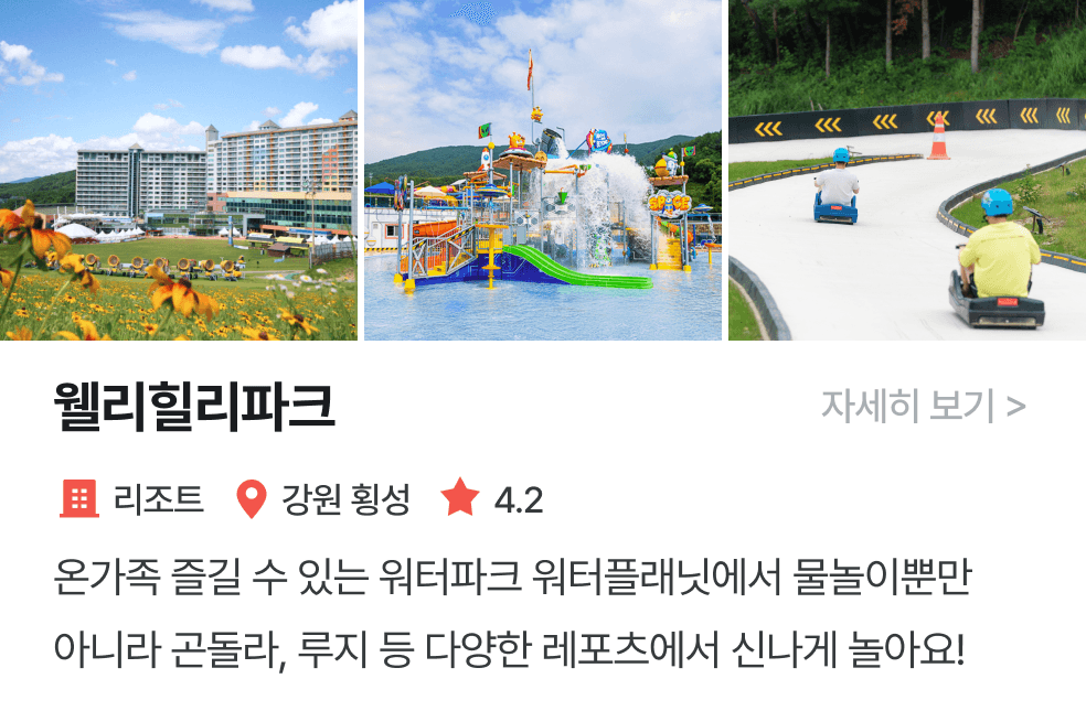 놀이연구소 | 웰리힐리파크