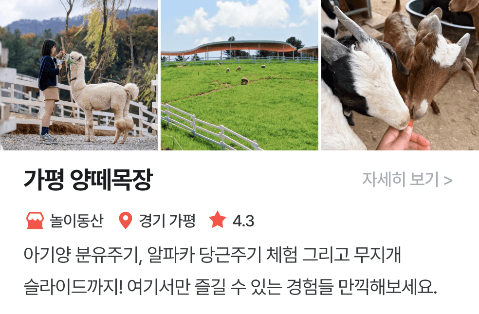 놀이연구소 | 가평양떼